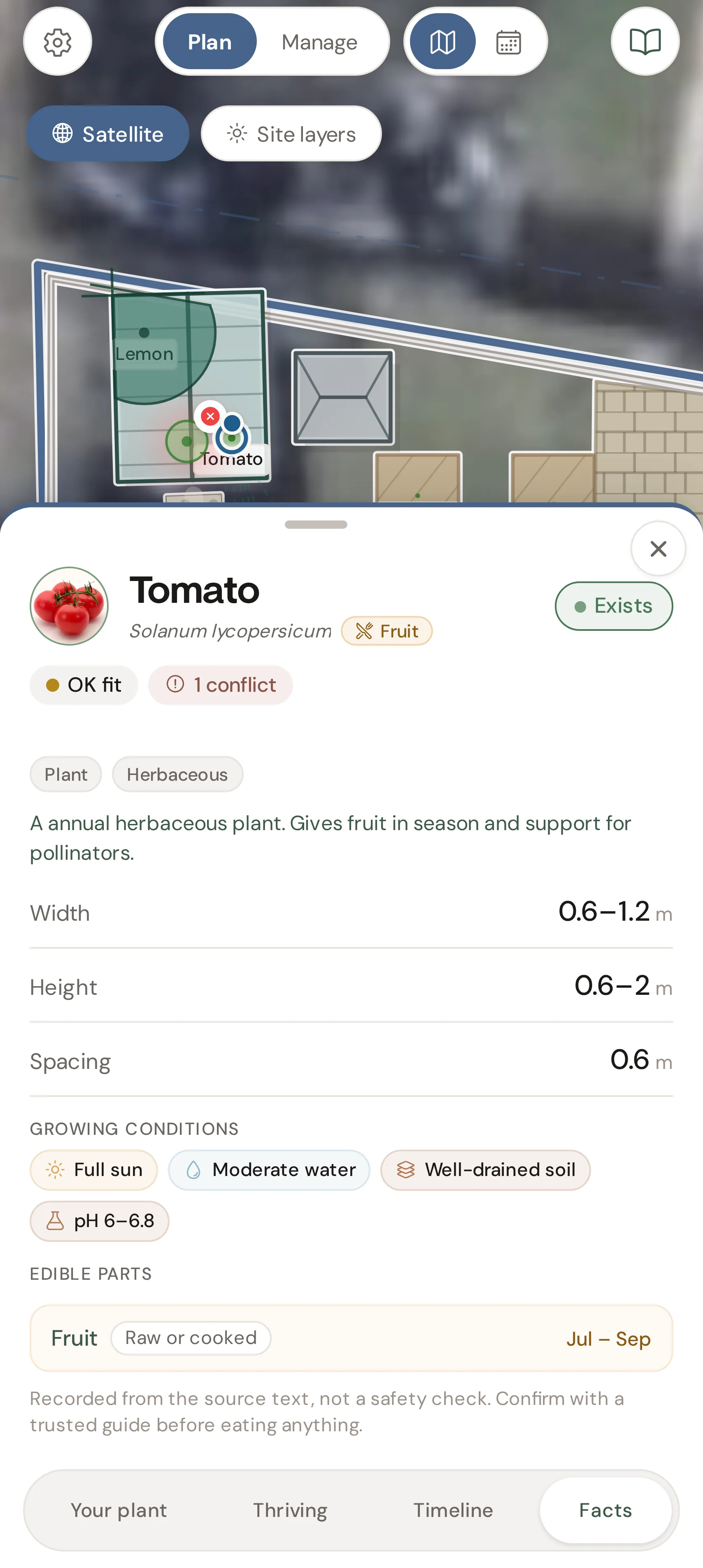 A tomato in the greenhouse in perma, with its growing conditions.